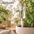 Avelynth™ Self-Watering Plant Globe