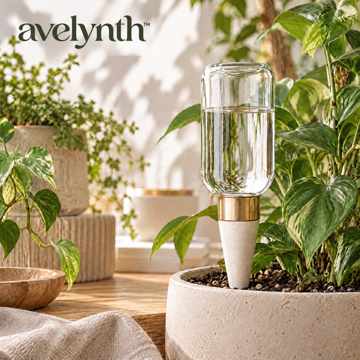 Avelynth™ Self-Watering Plant Globe